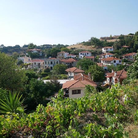 Casa Di Grigoris Villa Никити Екстериор снимка